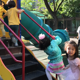 タイムラプスにはまるの画像