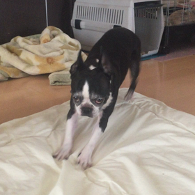 ソワソワの画像