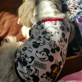 医者との相性の画像