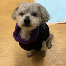 ベッドで寝といでよ。の画像