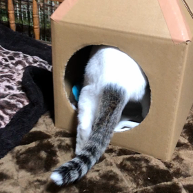 お気に入りの画像