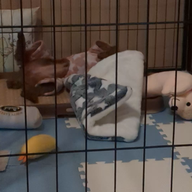 仕草。。。の画像