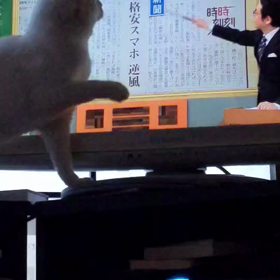 ティロさんの画像