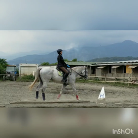 川崎誘導馬たちの『おうち』をご紹介②の画像