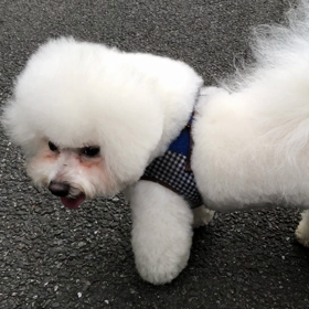 梅雨明け間近の画像