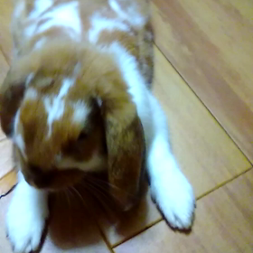 マッサージ♥の画像