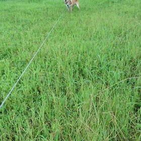 いっぱい楽しんでねの画像