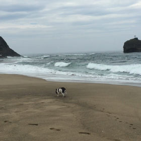 えっ❗️ちょいと待って‼️の画像