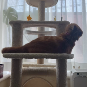 今日も元気の画像