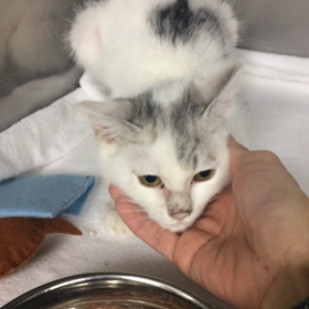 春花ちゃん面会の画像