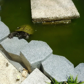 守り護られの画像