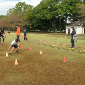 11月5日 ダッシュの場⑥の画像