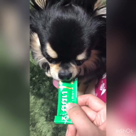 帰宅中デス ٩( ᐛ )وの画像