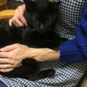 ネロくんは、優しい美男子の画像