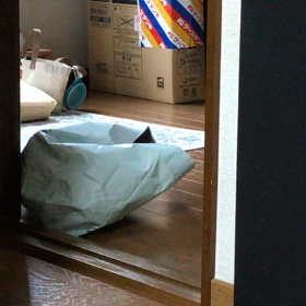 お気に入りの画像