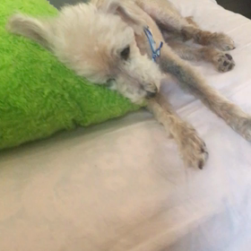 あと少しの画像