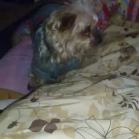 ねぇ、ねぇー　入れて〰❗の画像