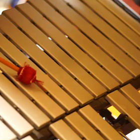 曲名「鯉のぼり」打楽器奏者 安部浩秋の画像