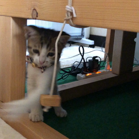 癒される毎日の画像