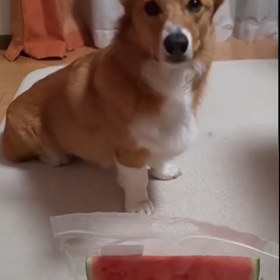 流行りのの画像