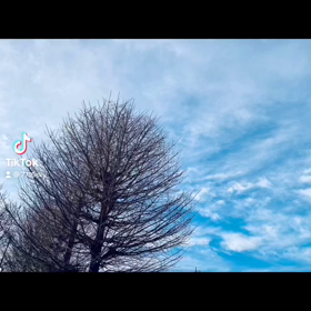 『空の風』Sky viewの画像