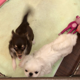 店内サークルの画像