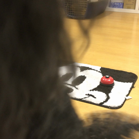 ワンコ（プリンだけ！？）の脳の不思議。の画像