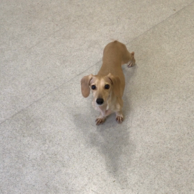 ♪プレイルーム動画♪の画像