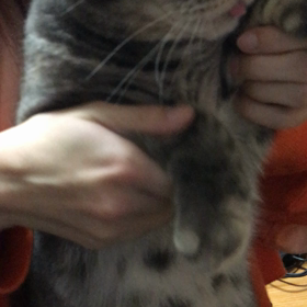 Let's Dance !!の画像