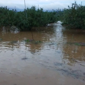 台風被害…の画像