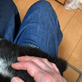 日に日に愛おしく…の画像