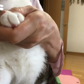 赤ちゃん迎えるにあたり爪切りチェック動画、と…退院？の画像