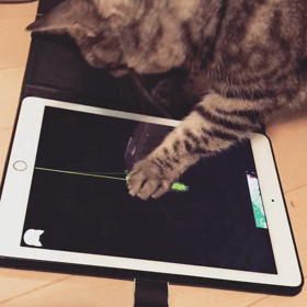 猫専用アプリを使ってみた？の画像