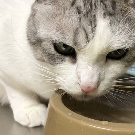 可愛いなぁ〜の画像