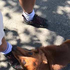 ７２＄の巻の画像