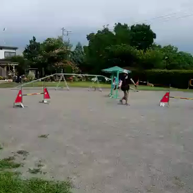 ダメダメハンドラー…>_<…の画像