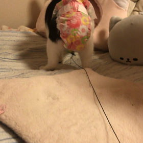 やる気出していこう、ないけど（笑）の画像