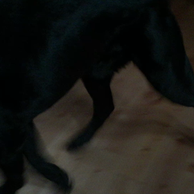 とうとうの画像