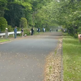 リレー選考会(男子)ゴール付近②の画像