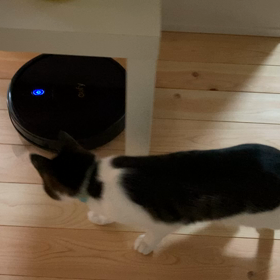 引越後1週間経過の画像