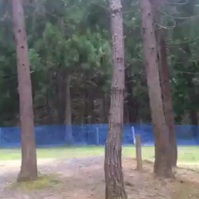 ざっくりなキャンプおはなしの画像