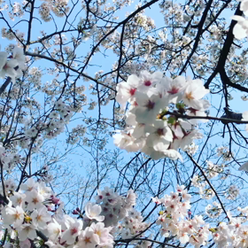 また会う日までの画像