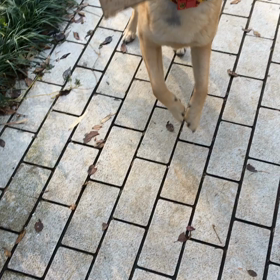 木片ラブの画像