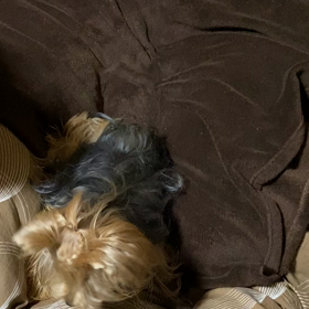 謎の怒りしかも毎晩の画像