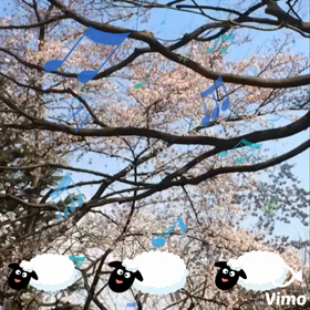 声聞きながらの画像