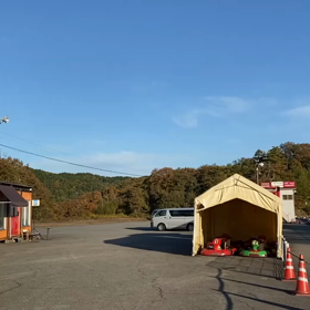 2020年11月15日（日曜日）今朝のおわらサーキットの画像