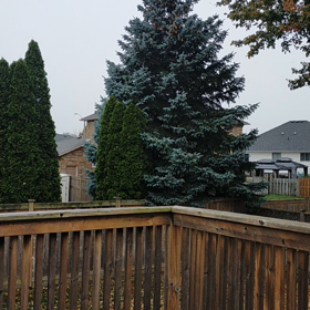 初雪！まだ10月。の画像