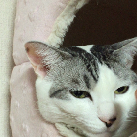 鬱陶しいの画像