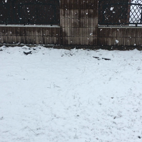 春分の日の画像