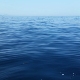 本日の動画その3の画像